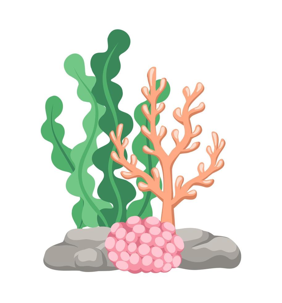 coral arrecifes con algas, algas marinas y rocas vector dibujos animados ilustración