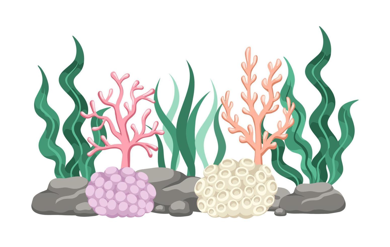 coral arrecifes con algas, algas marinas y rocas vector dibujos animados ilustración