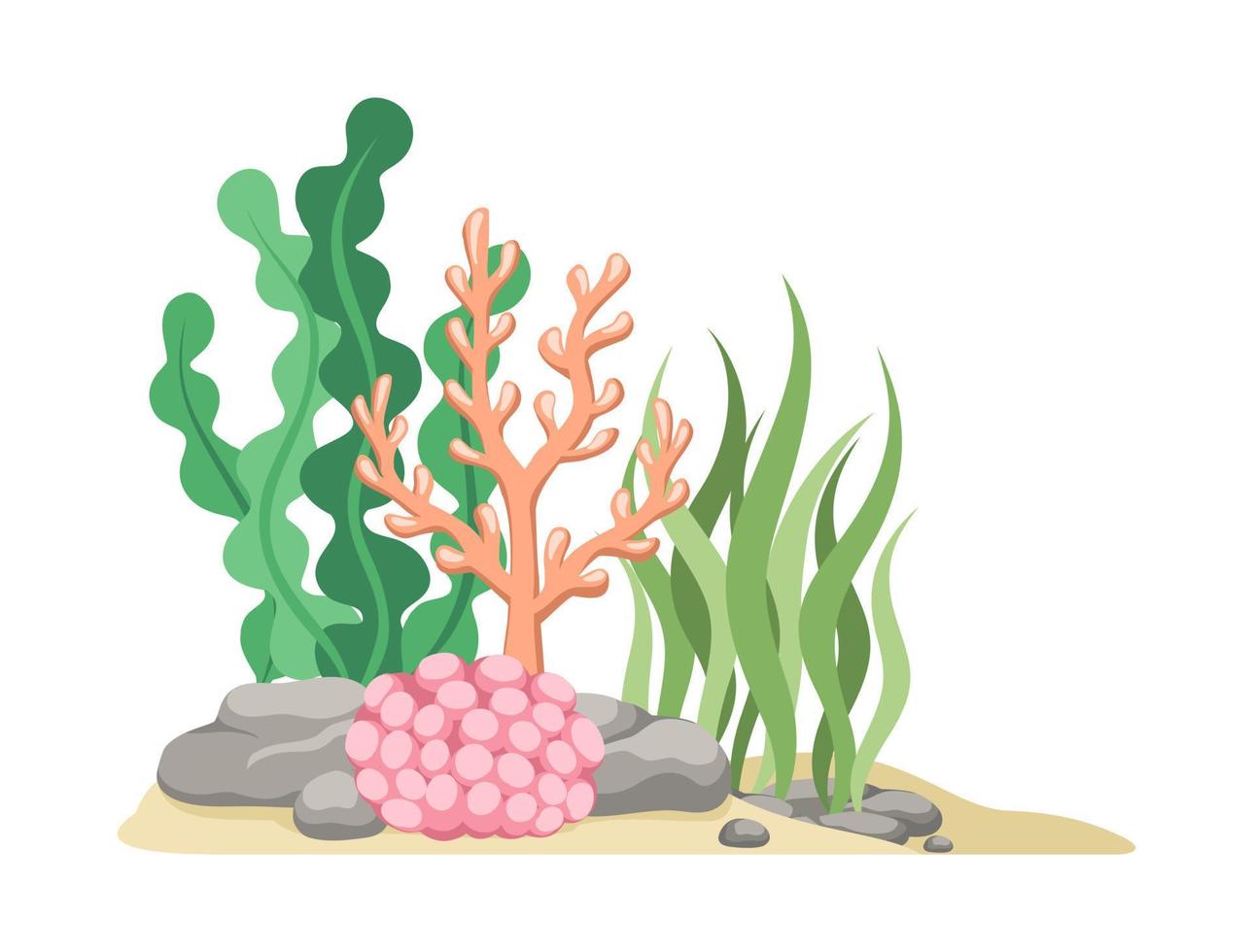 coral arrecifes con algas, algas marinas y rocas vector dibujos animados ilustración