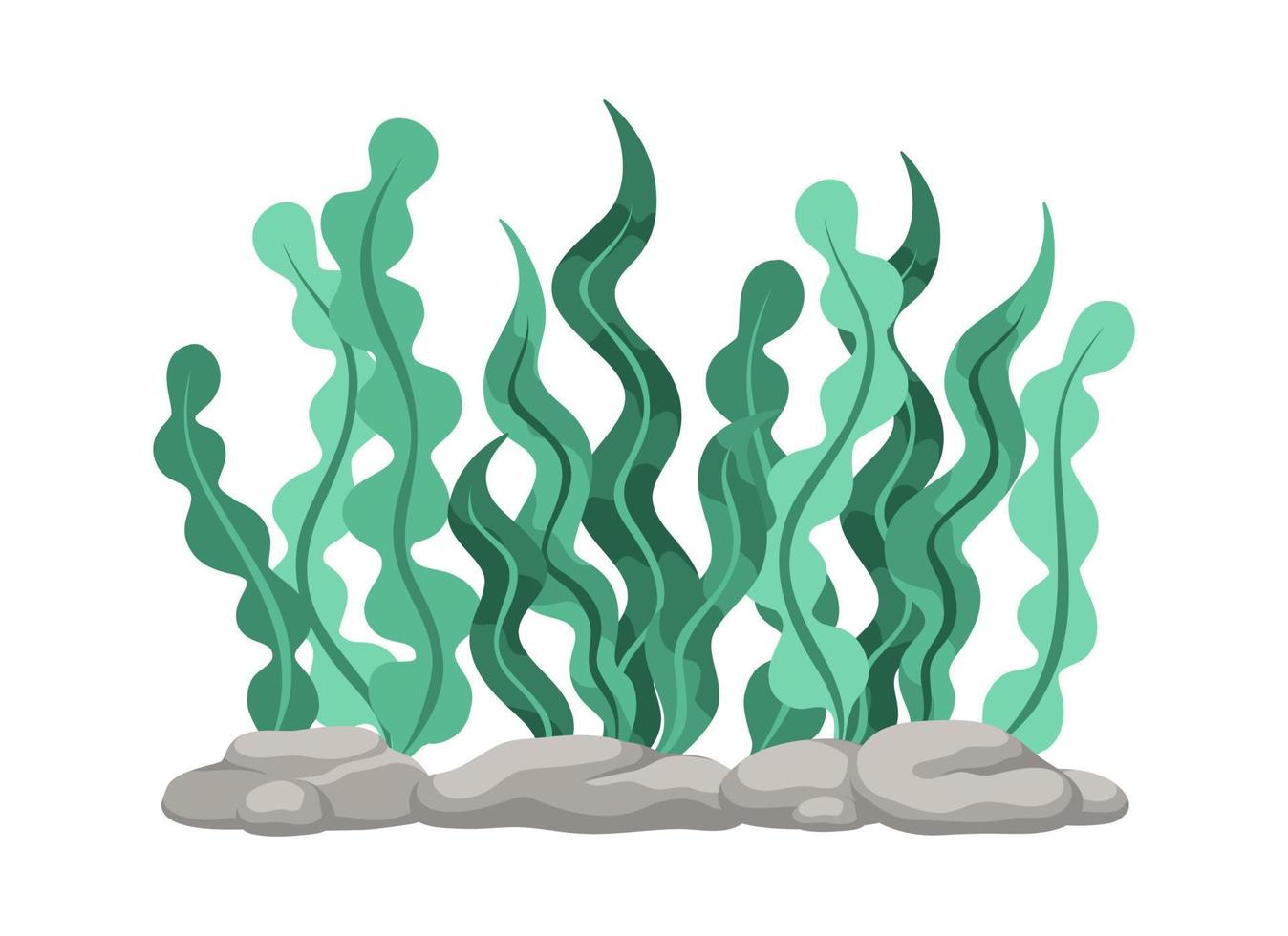 Underwater Organism Algae Seaweed Doodle Vector. Organic Water Plant ...