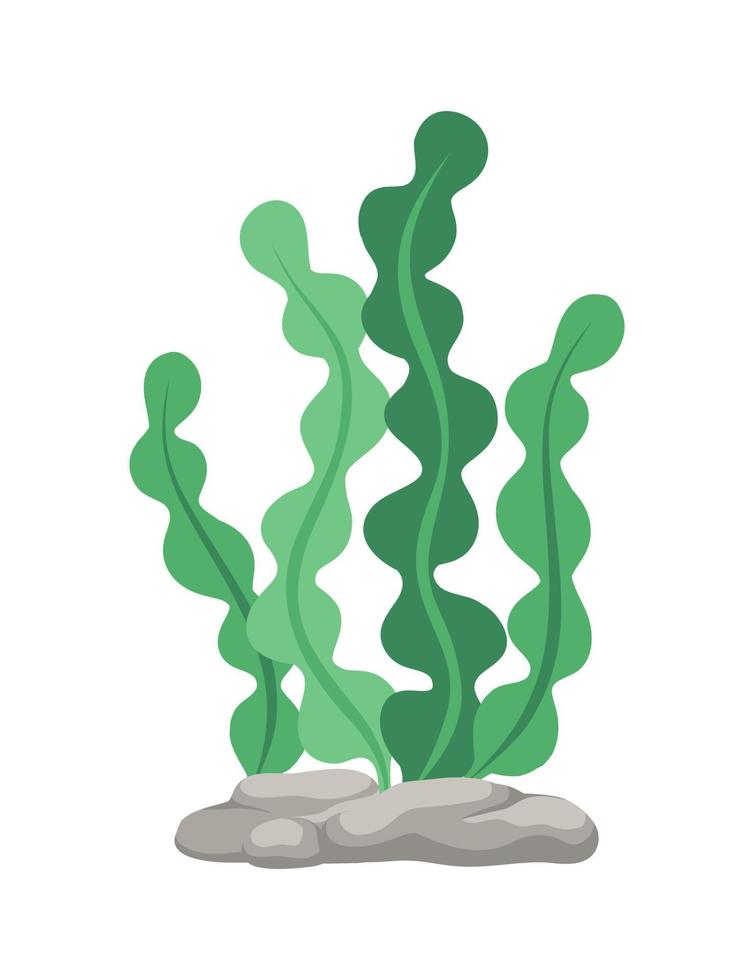 Underwater Organism Algae Seaweed Doodle Vector. Organic Water Plant Illustration. vector