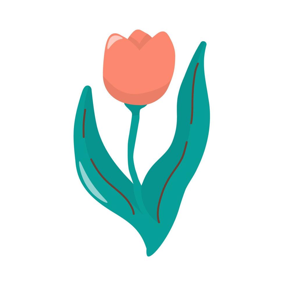 Vector single image of red tulip in hand drawn style