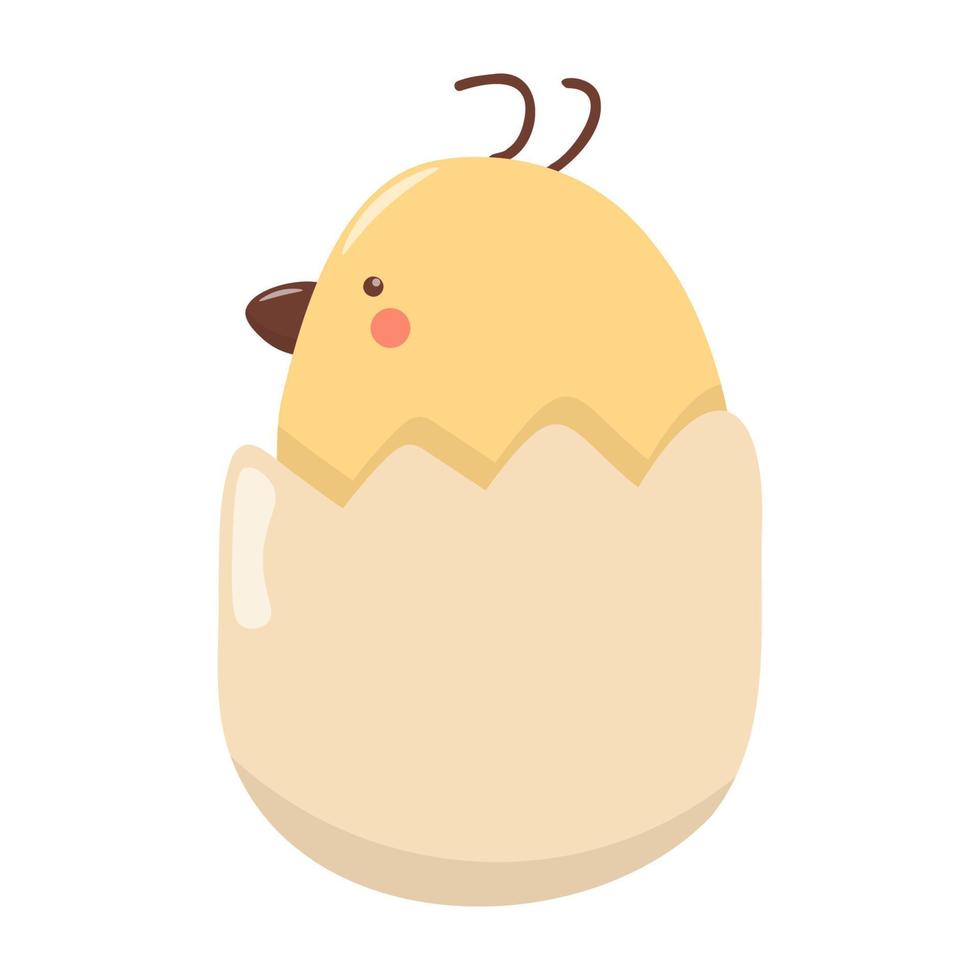 Vector illustration of a chicken sitting in a shell. Hand draw style.Vector illustration of a chicken sitting in a shell. Hand draw style.