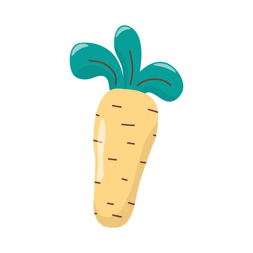 Vector single image of a carrot in hand draw style