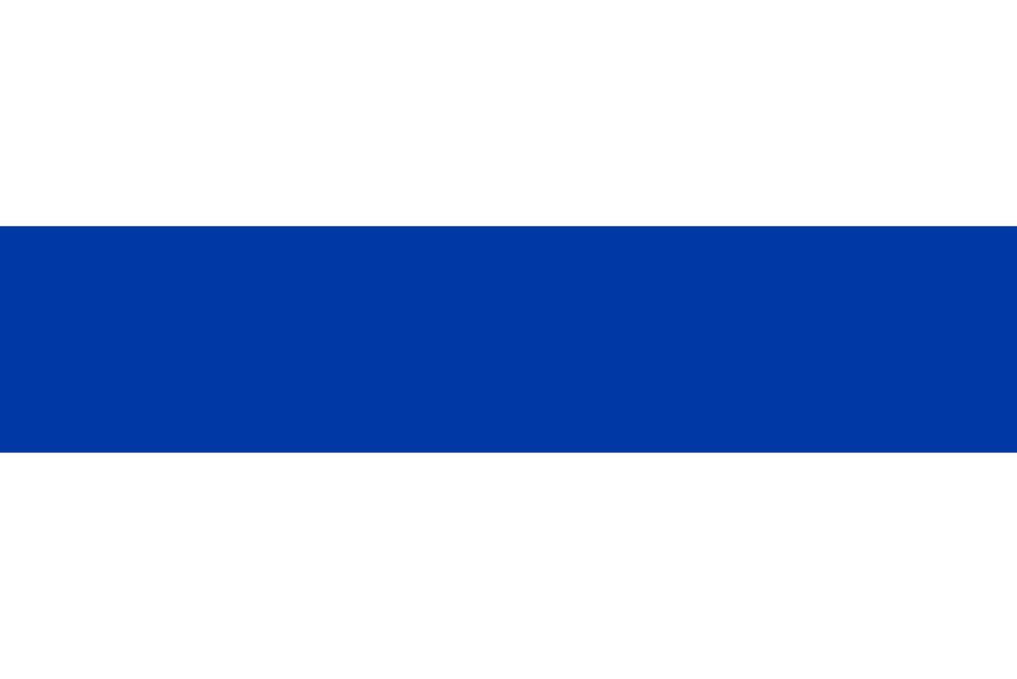 New free democratic Russian flag for independence day or election vector