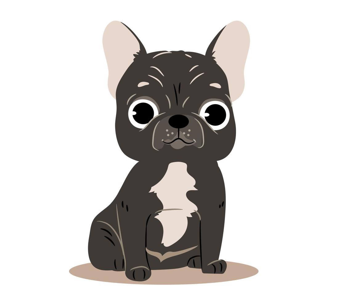 Cute French bulldog isolated on white background vector