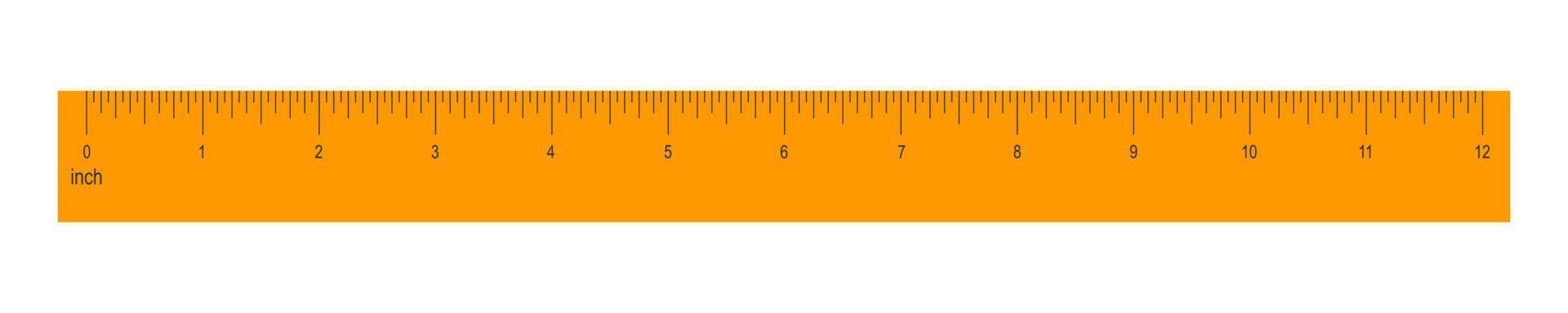 12 inches or 1 foot orange ruler isolated on white background. Math or geometric tool for distance, height or length measurement with markup and numbers vector