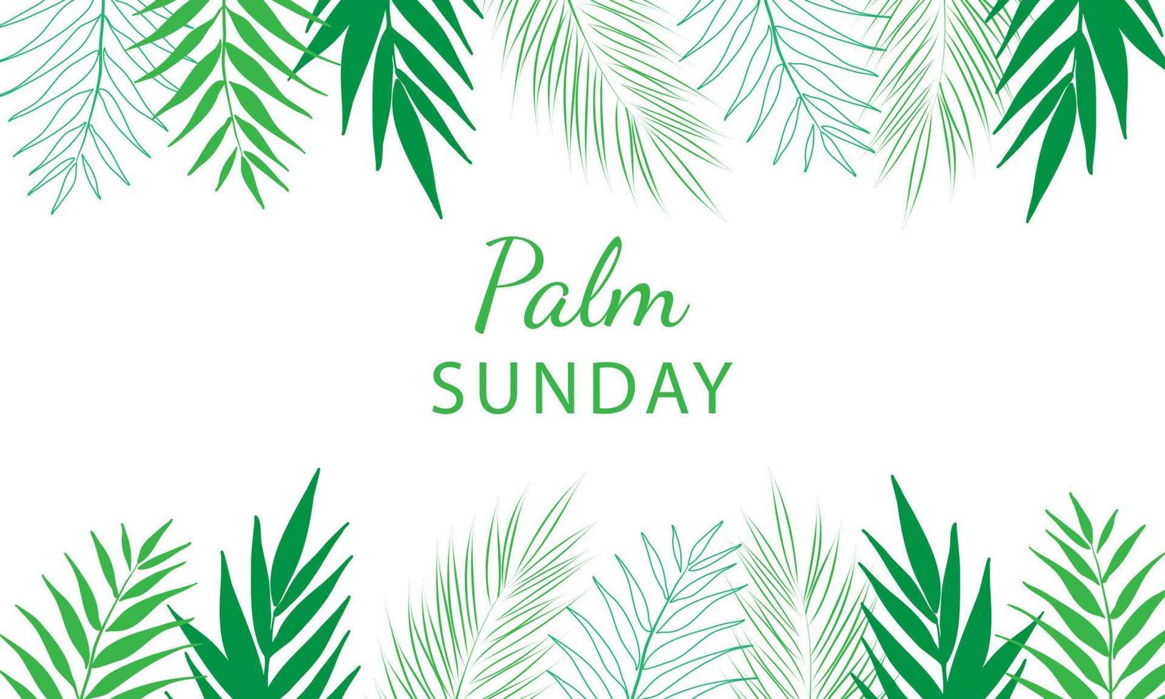 domingo de palma - plantilla de banner de saludo para festividad cristiana, con fondo de hojas de palmera. vector