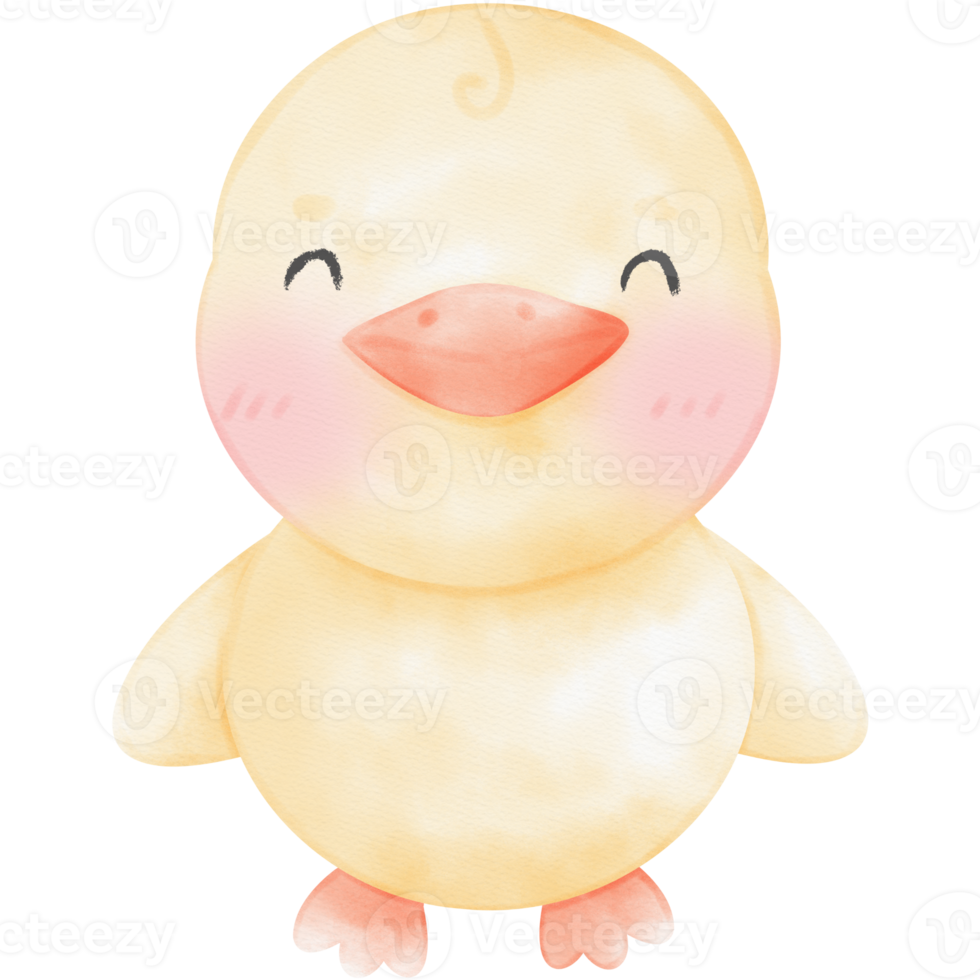 Cute little duck watercolor illustration png