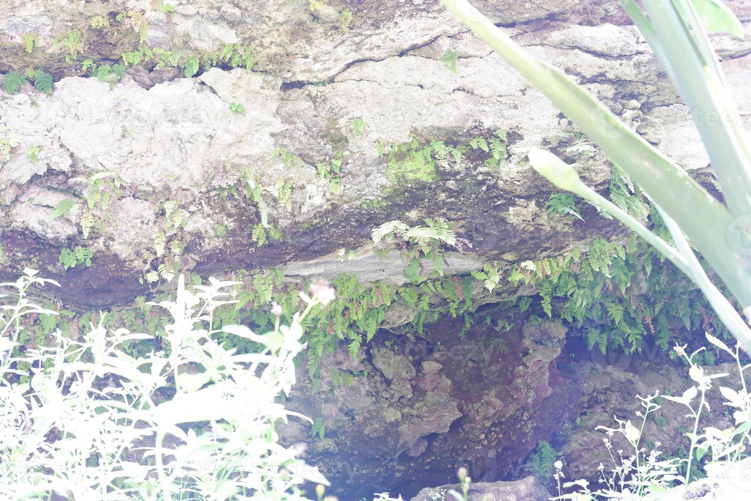 scary cliff in nature up close photo