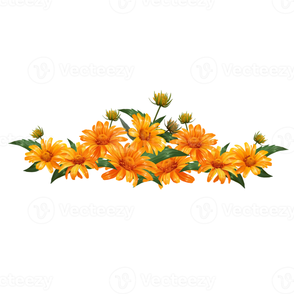 flower arrangement of their Heliopsis flowers illustration png