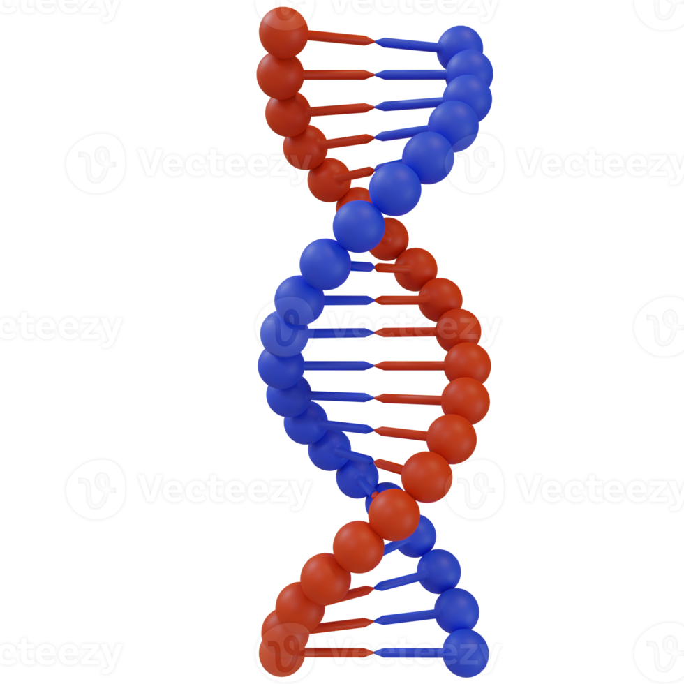 3d render illustration of DNA genetic spiral in blue and red colors png