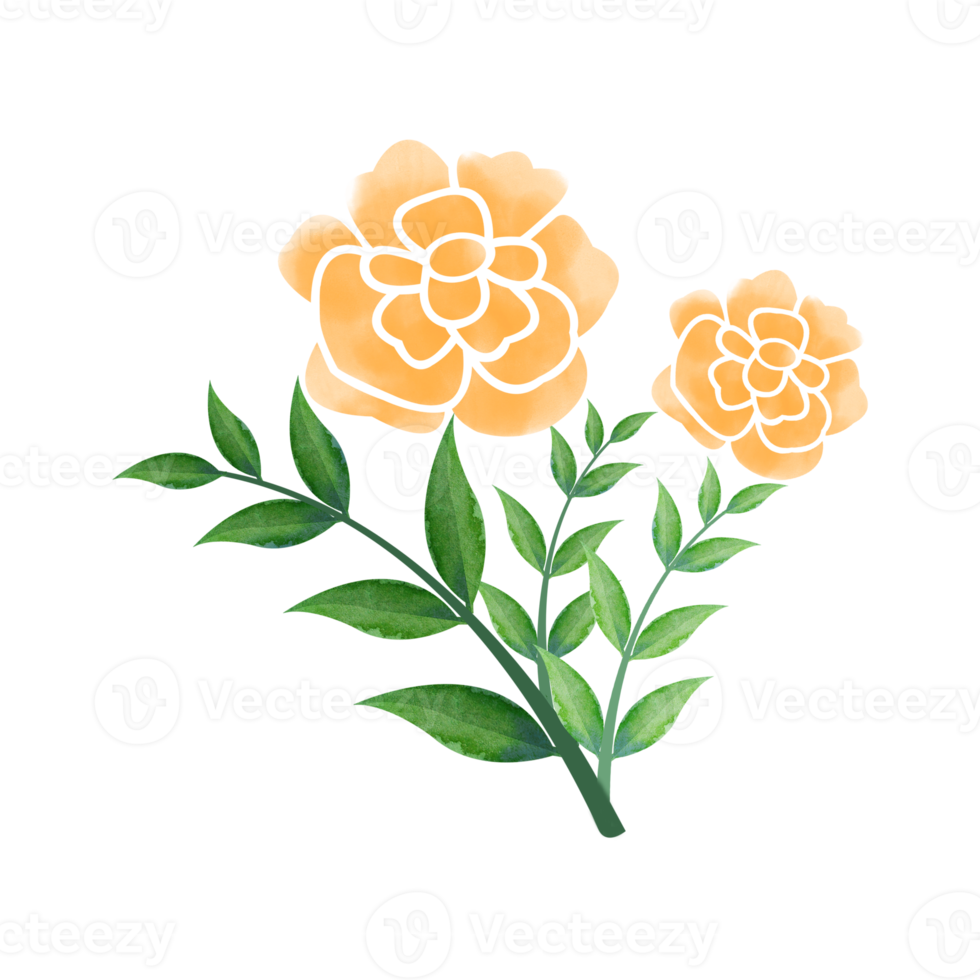 Digital Watercolor Flower and Leaves Design. High Quality PNG format size 5000 x 5000 px.  Can be used this graphic for any kind of Project like packaging, stationery, mugs, tshirts whatever you want.