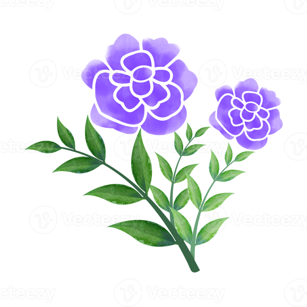 Digital Watercolor Flower and Leaves Design. High Quality PNG format size 5000 x 5000 px.  Can be used this graphic for any kind of Project like packaging, stationery, mugs, tshirts whatever you want.