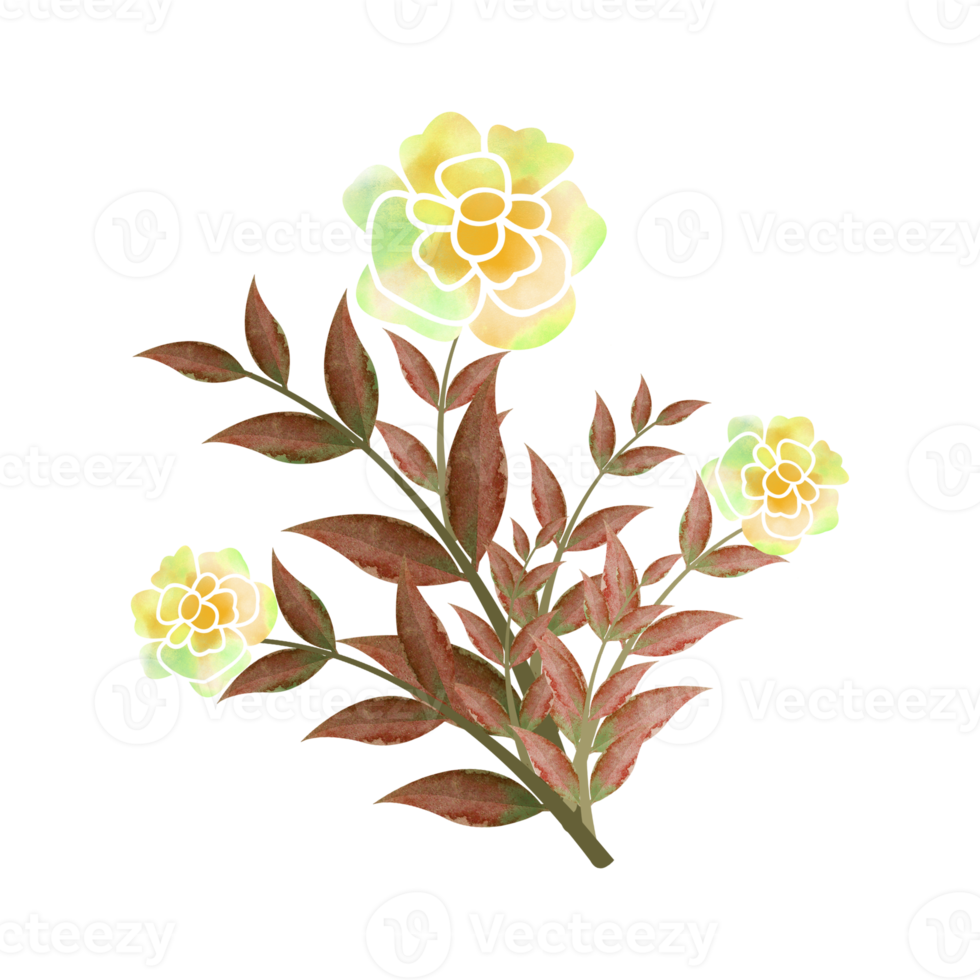 Digital Watercolor Flower and Leaves Design. High Quality PNG format size 5000 x 5000 px.  Can be used this graphic for any kind of Project like packaging, stationery, mugs, tshirts whatever you want.