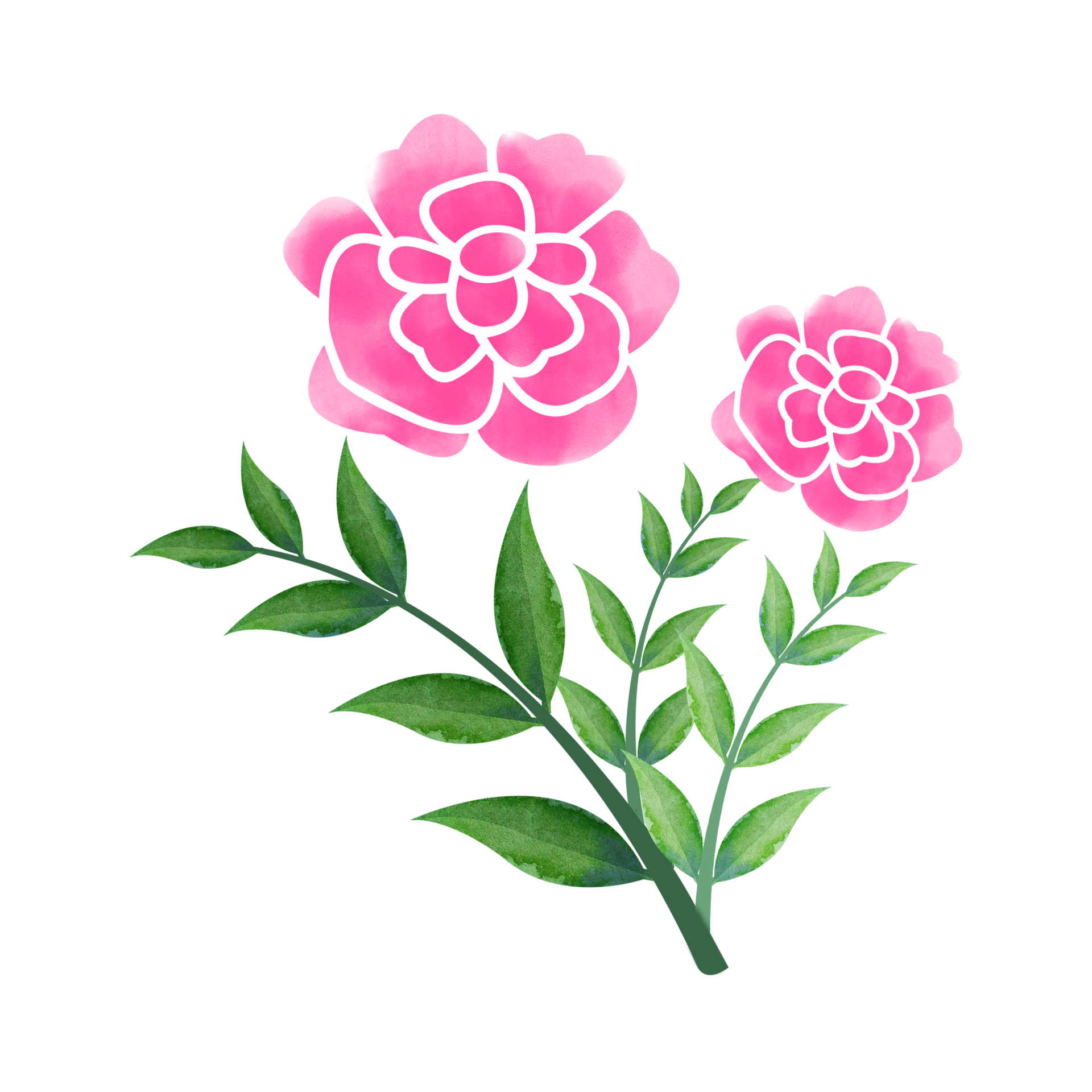 free-digital-watercolor-flower-and-leaves-design-high-quality-png