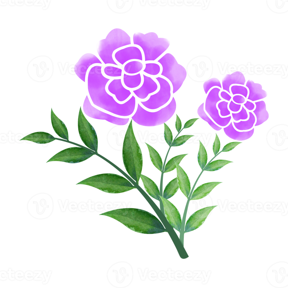 Digital Watercolor Flower and Leaves Design. High Quality PNG format size 5000 x 5000 px.  Can be used this graphic for any kind of Project like packaging, stationery, mugs, tshirts whatever you want.