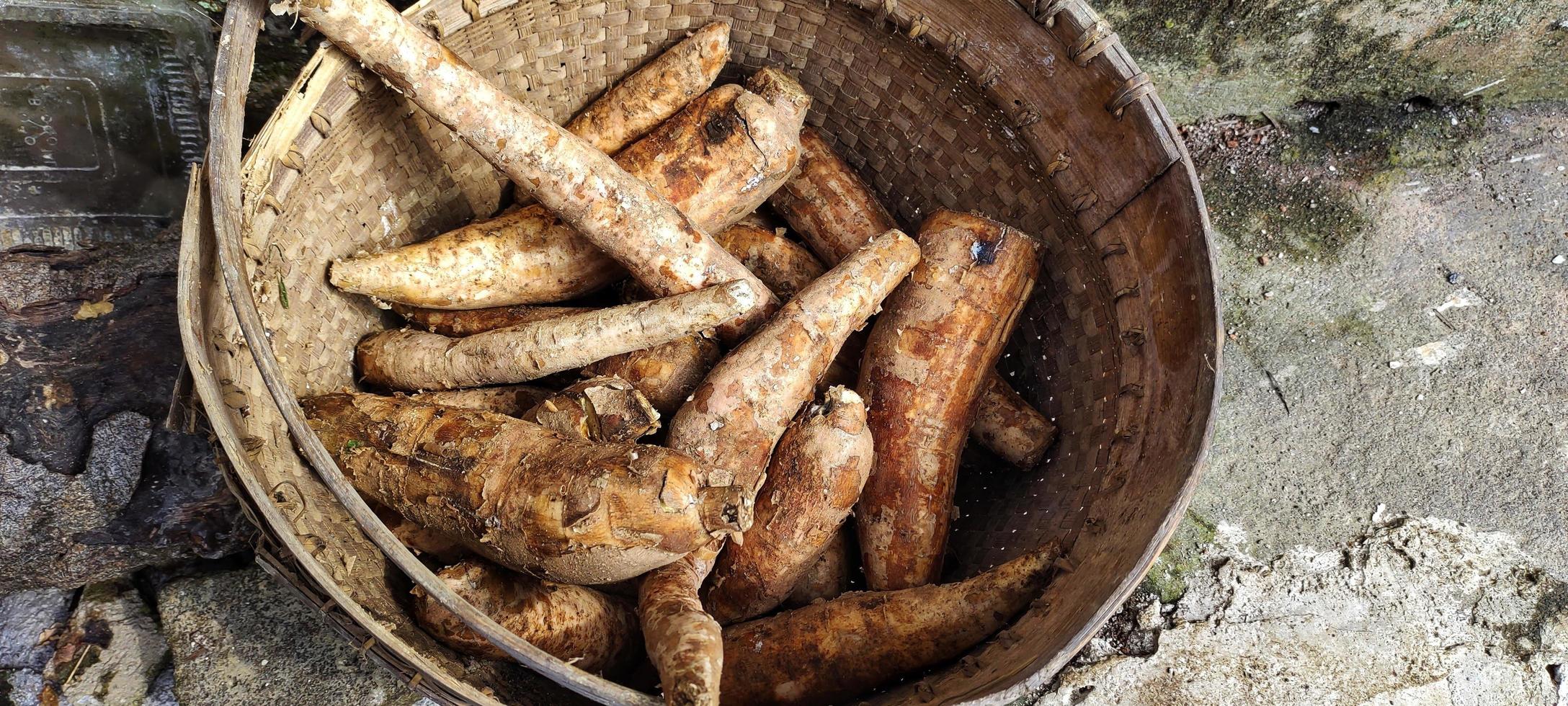 High view of ketela or cassava in traditional bucket made of woven bamboo. photo