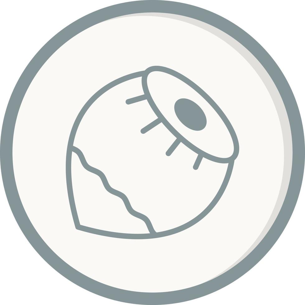 Hazelnut Vector Icon