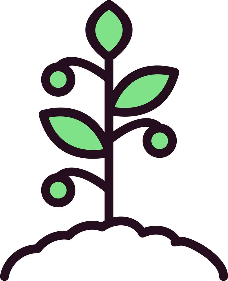 Tomato Vector Icon