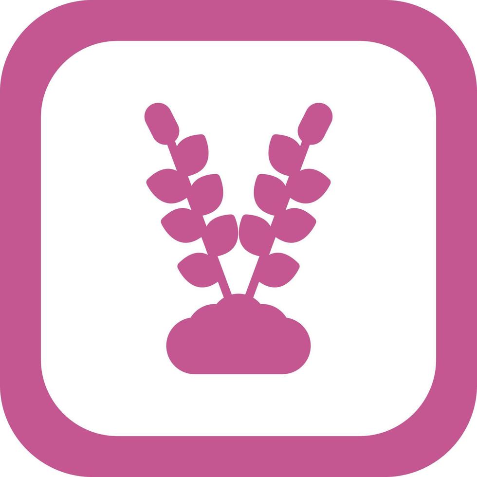 Lavender Vector Icon