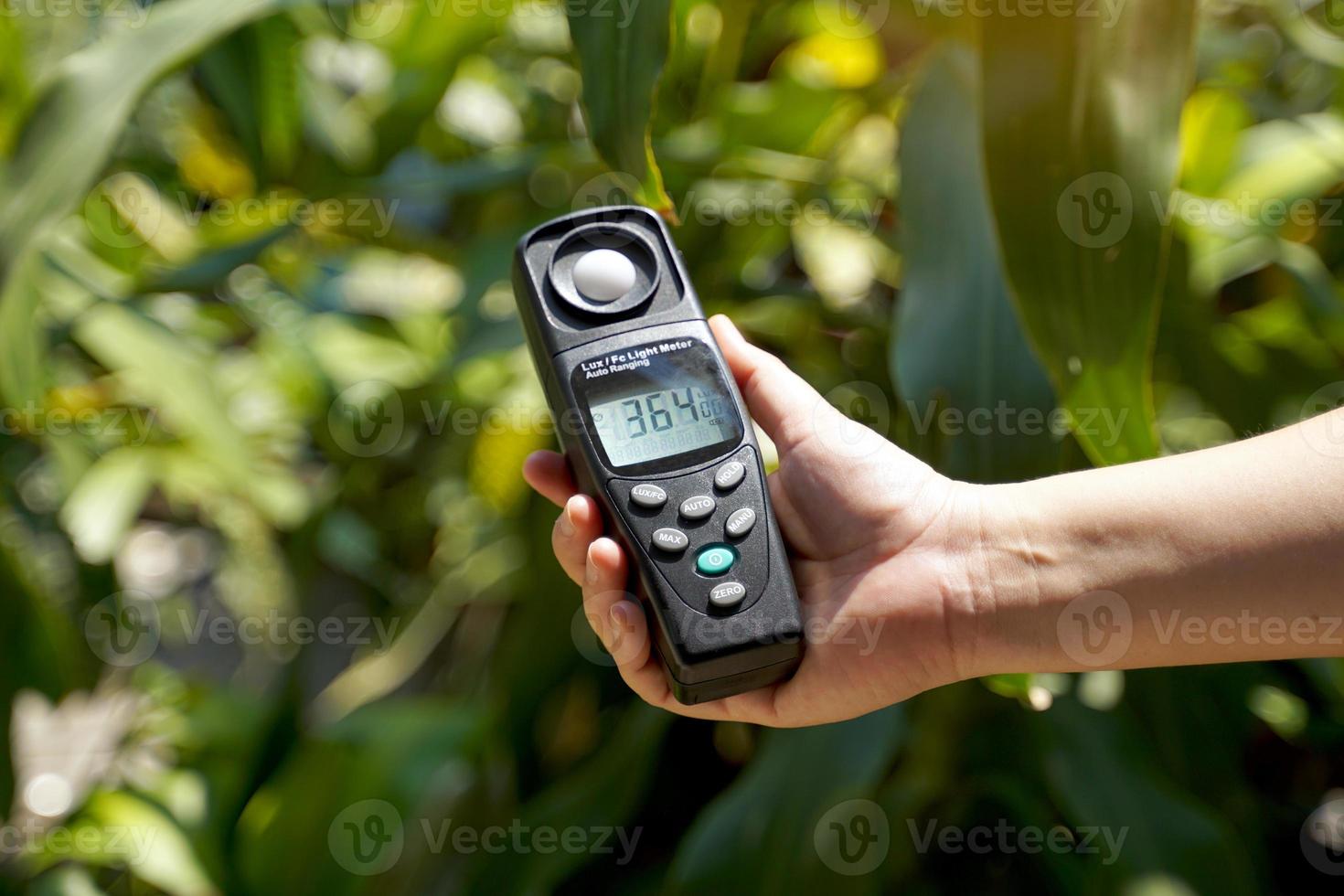 Light meter, Lux Light Meter in hand while measuring light intensity quantity and the brightness of the light suitable for the tree. soft and selective focus. photo