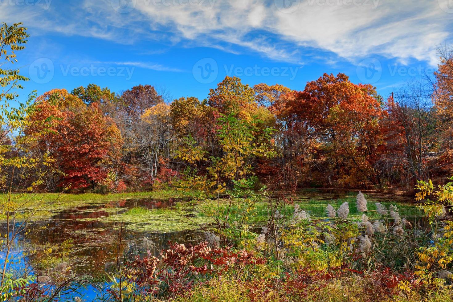 Autumn Landscape. The bright colors in the lake. photo