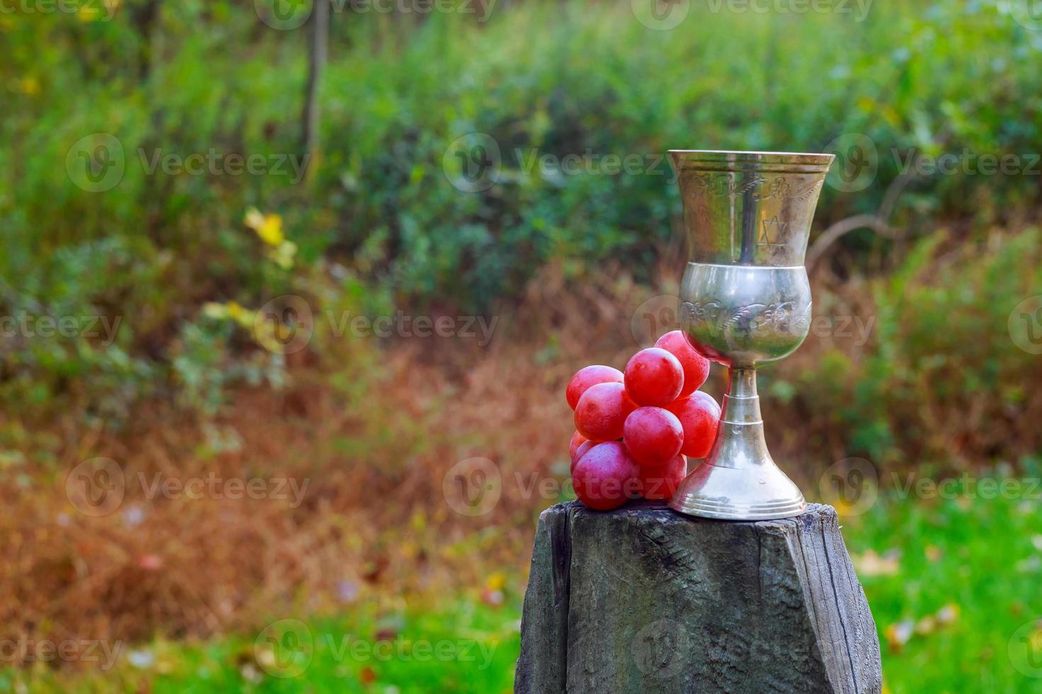 Tasty wine on wooden barrel grape background photo