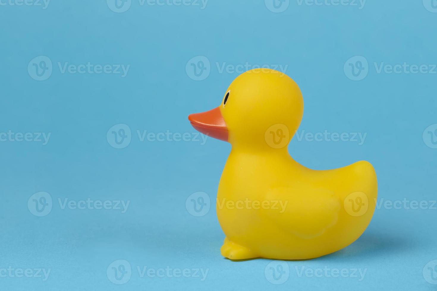 Side view of a yellow rubber duck on a blue background. photo