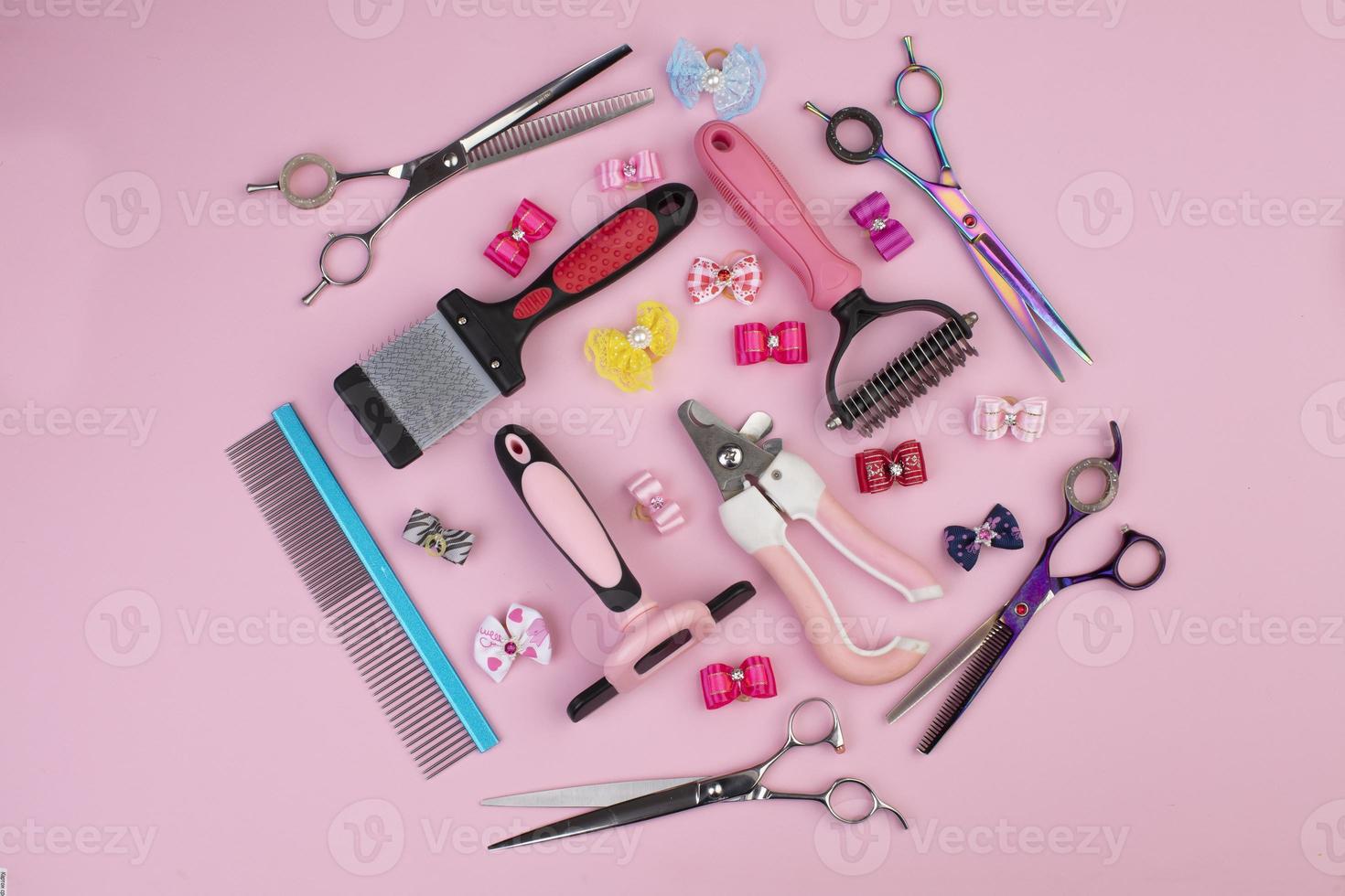 Tool for the groomer on a pink background. Dog grooming accessories. Combs and brushes for animals. View from above photo