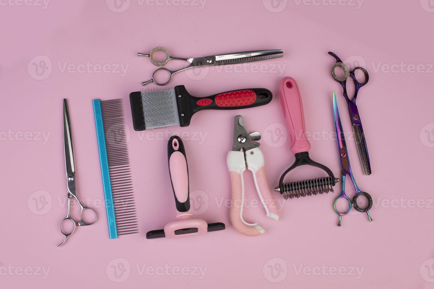 Tool for the groomer on a pink background. Dog grooming accessories. Combs and brushes for animals. View from above photo