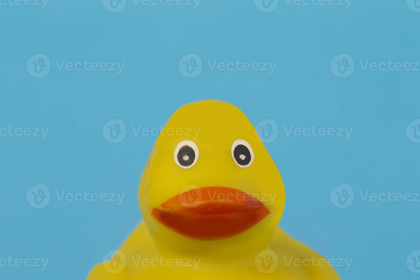 Muzzle yellow rubber duck for swimming on a blue background. photo