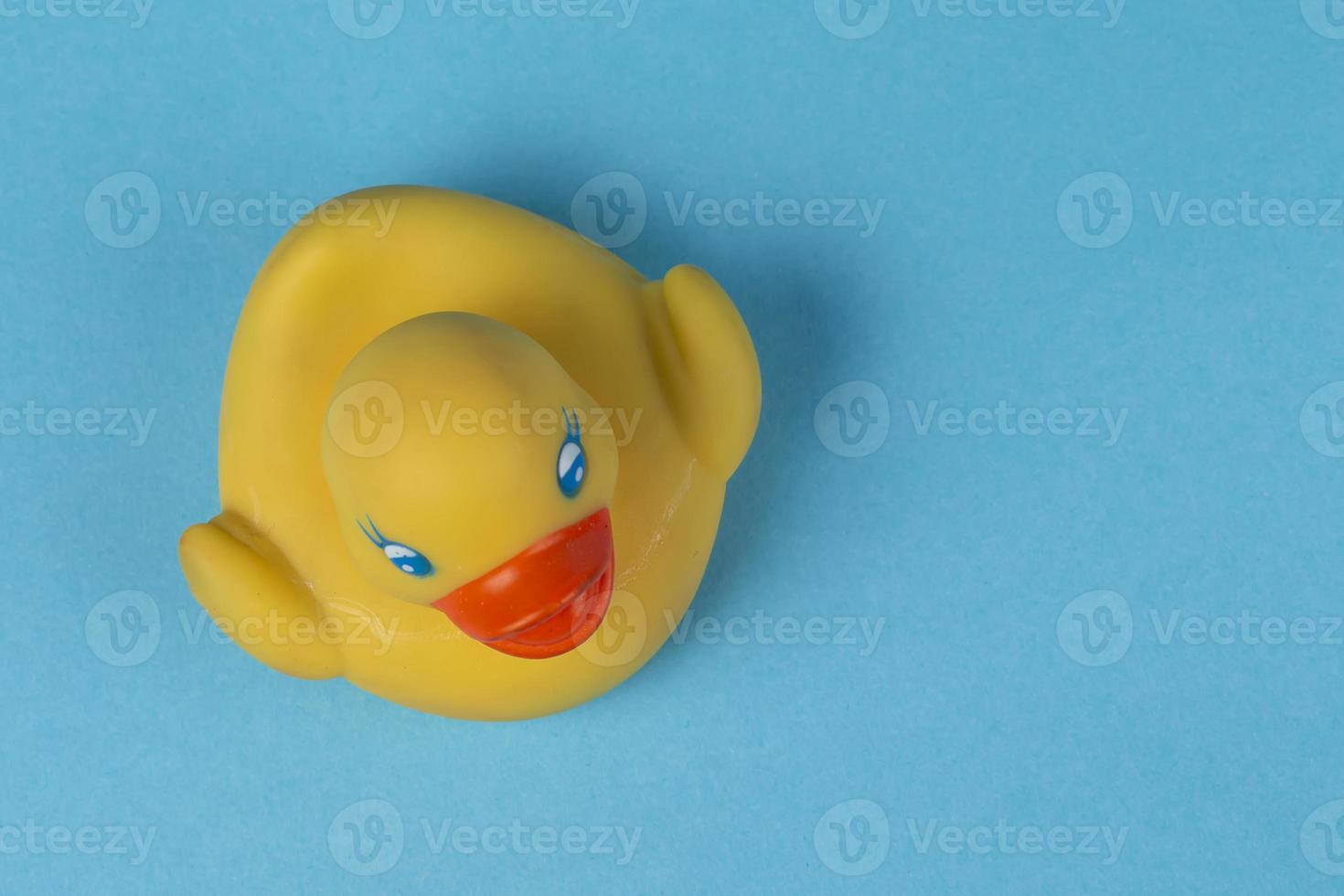 Yellow rubber duck for swimming on a blue background. photo