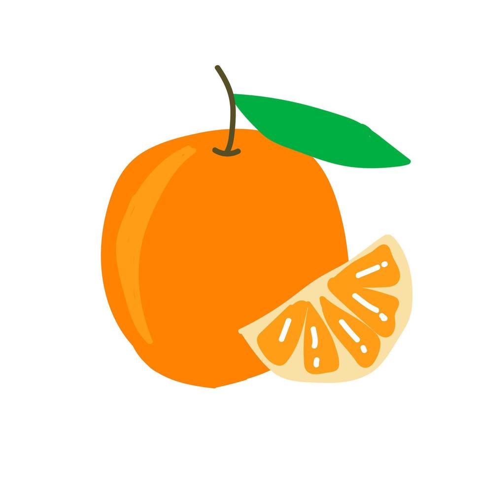 vector sticker orange fruit, slice orange fruit hand drawn