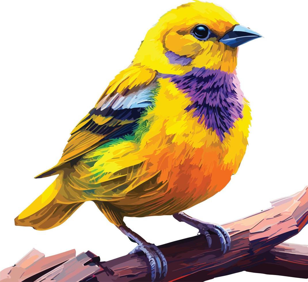colorful canary beautiful bird vector