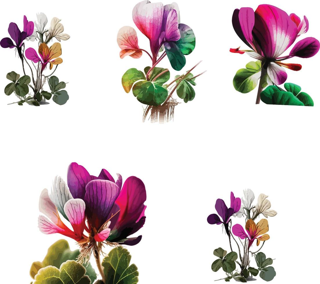 watercolor colorful flowers vector
