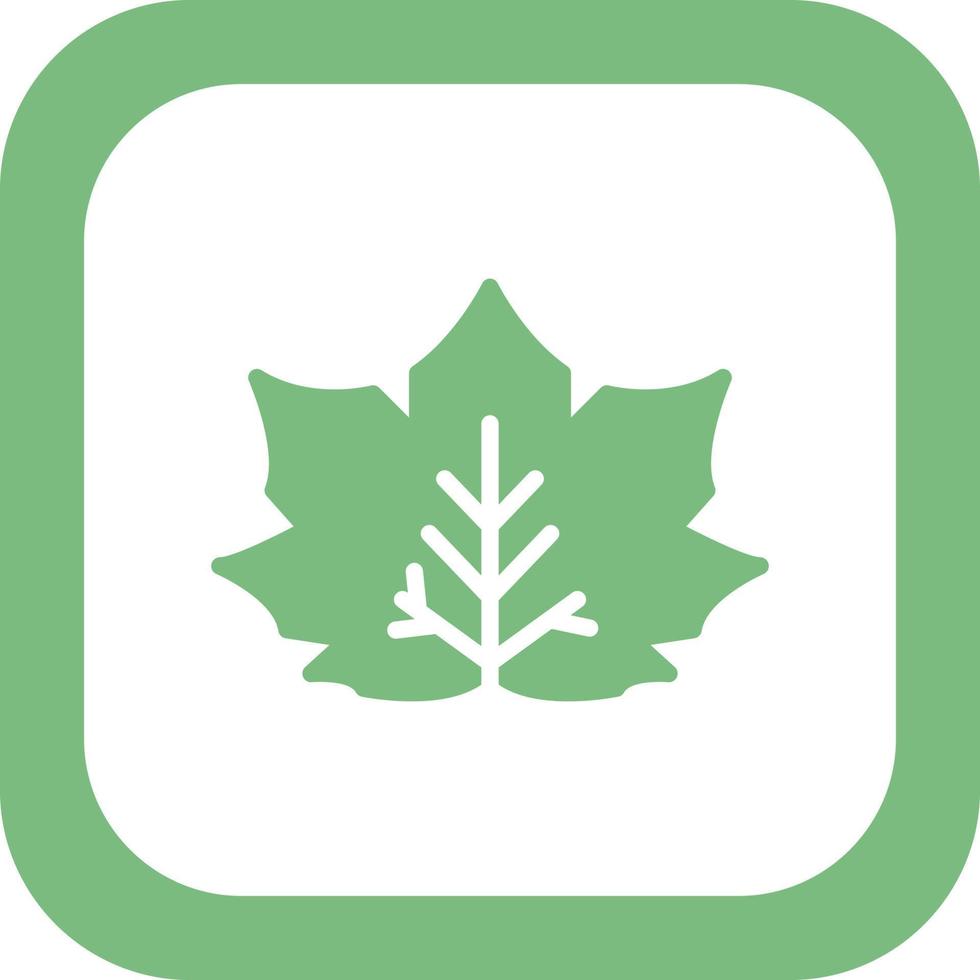 Maple Leaf Vector Icon