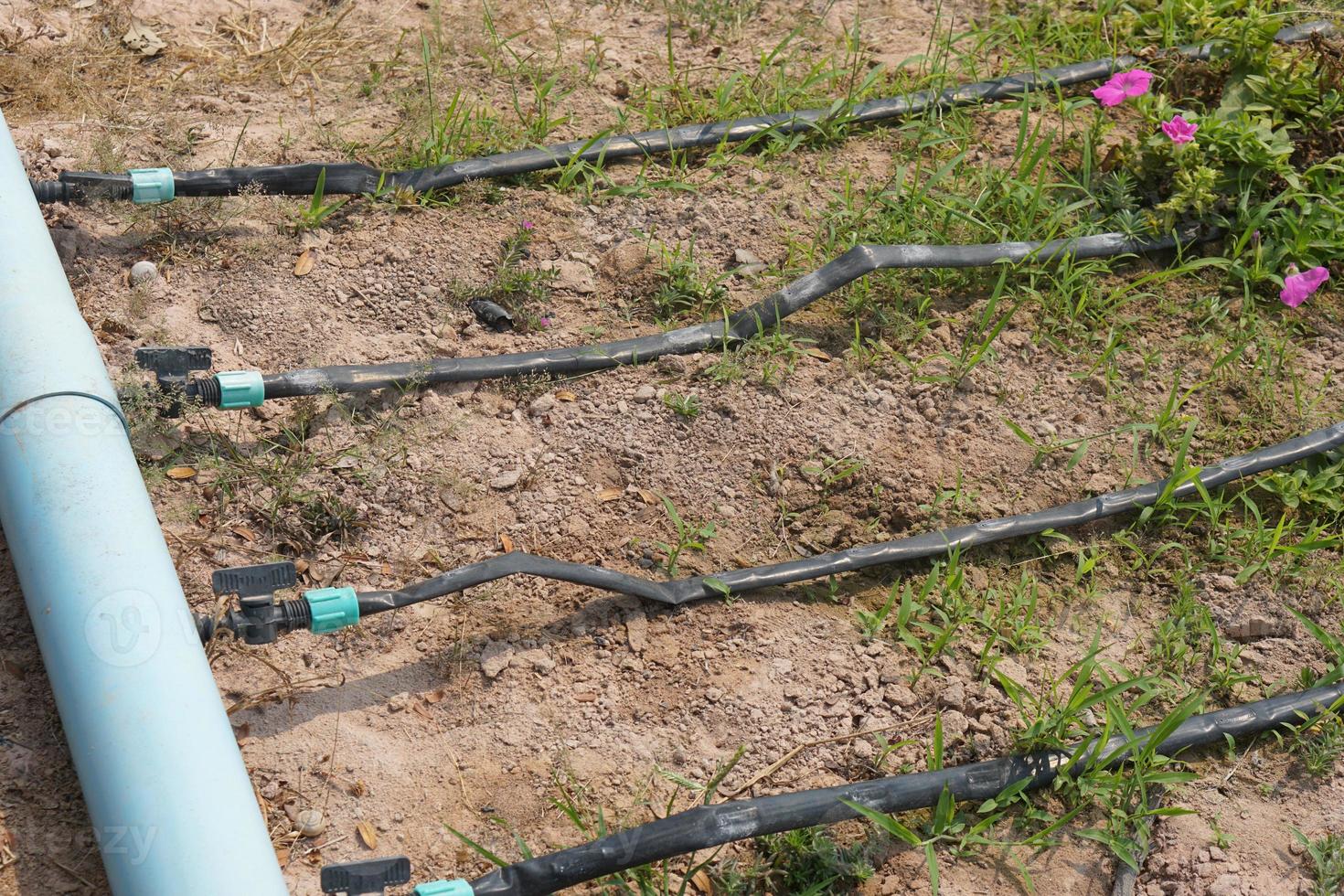 water pipe in flower garden photo