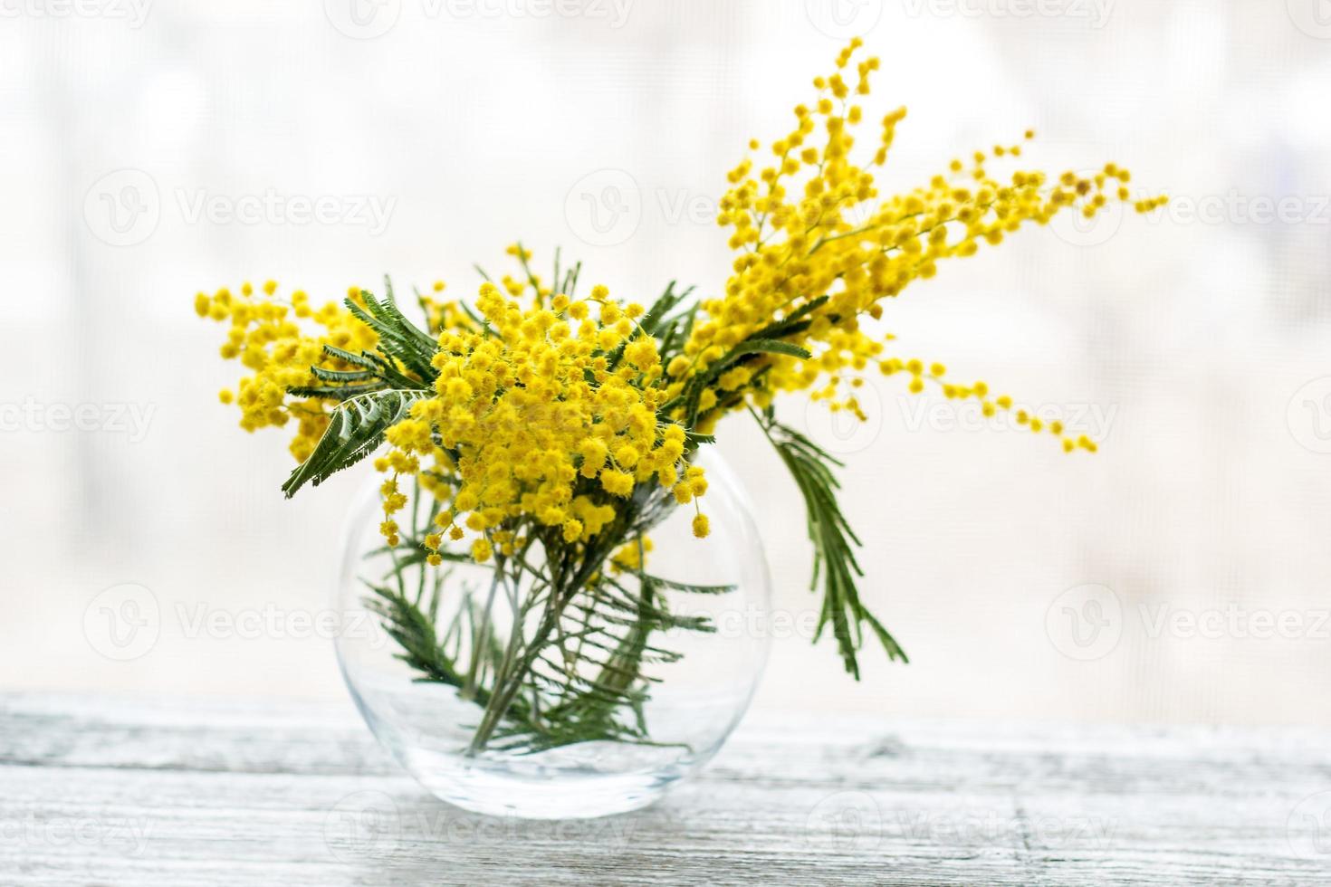 Beautiful yellow mimosa flower blossom in glass vase in spring time photo