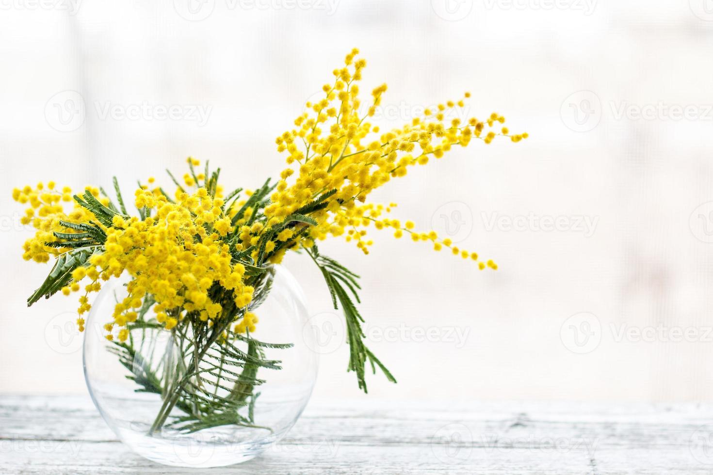 Beautiful yellow mimosa flower blossom in glass vase in spring time photo