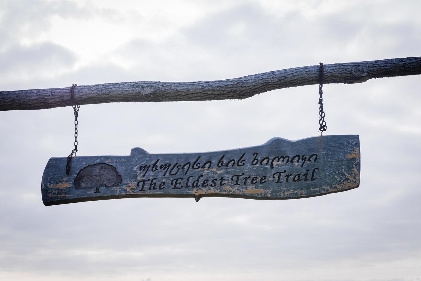 el más antiguo árbol sendero tablero cerca arriba en vashlovani nacional parque.turismo en Cáucaso foto