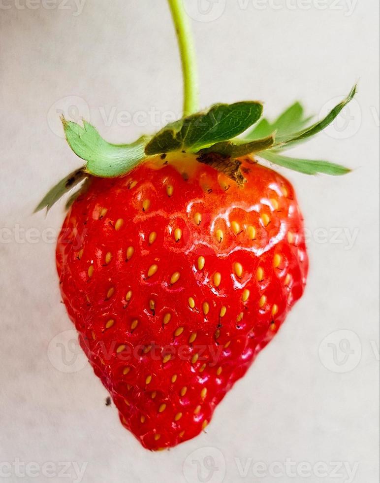 fresas sobre un fondo blanco foto