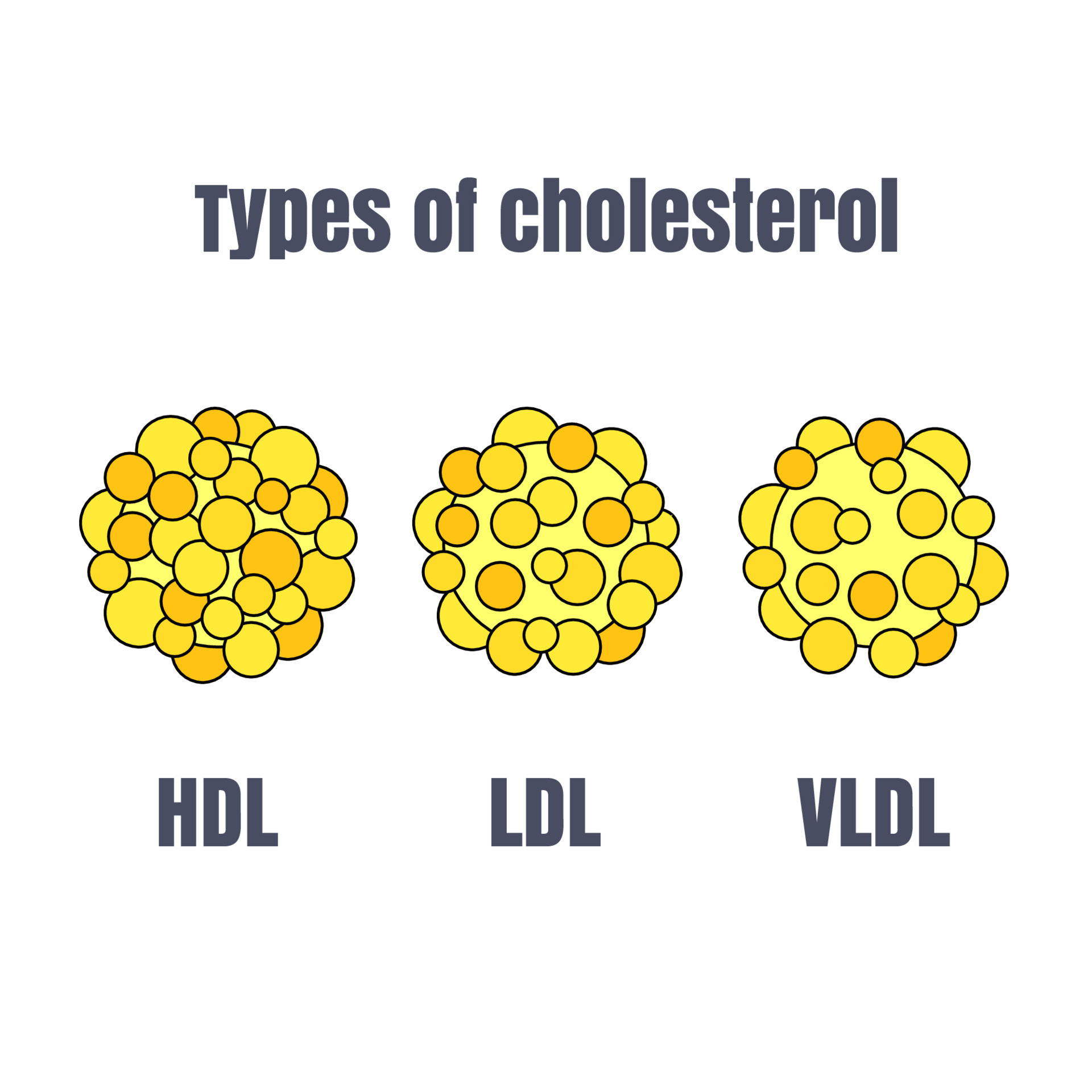 Types of Cholesterol vector to use for education 19834028 Vector Art at