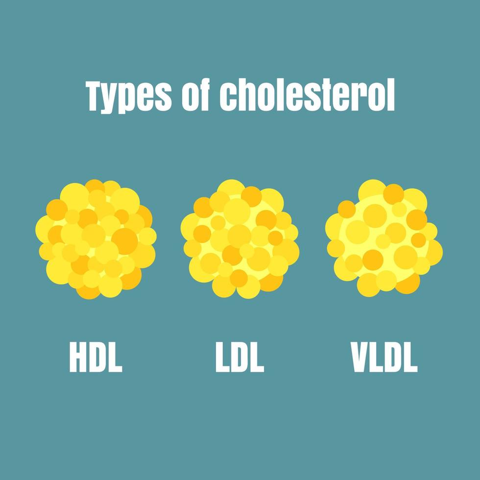 tipos de colesterol vector a utilizar para educación