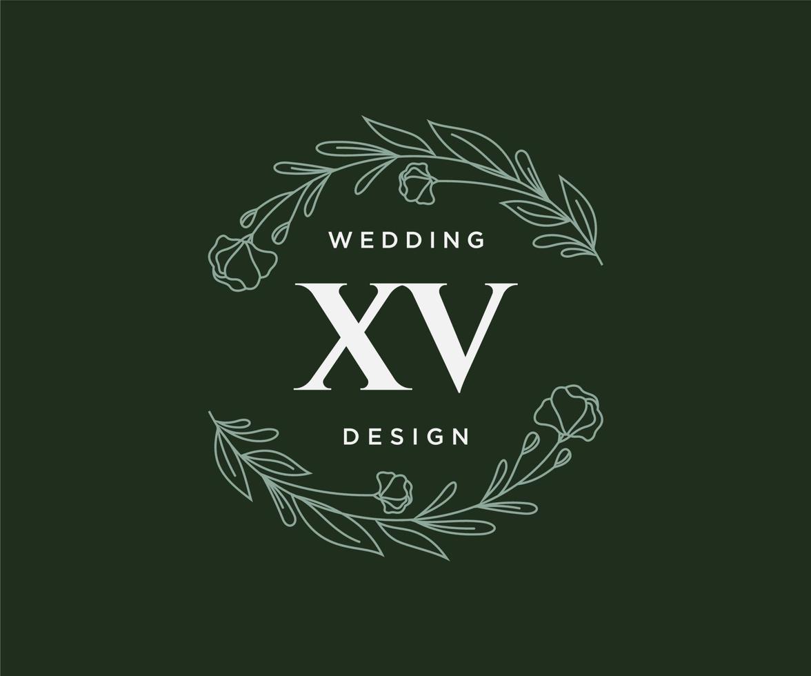 colección de logotipos de monograma de boda con letras iniciales xv, plantillas florales y minimalistas modernas dibujadas a mano para tarjetas de invitación, guardar la fecha, identidad elegante para restaurante, boutique, café en vector
