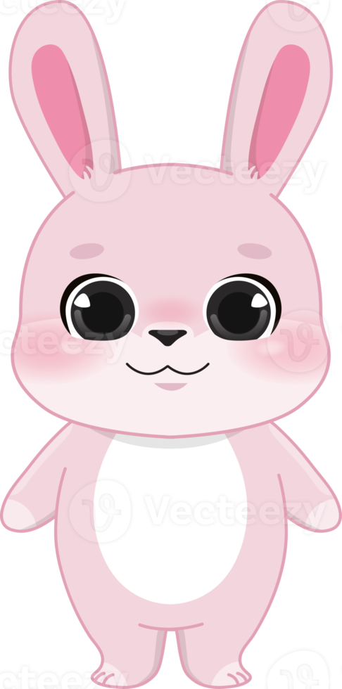 Pink Rabbit Cartoon Character png