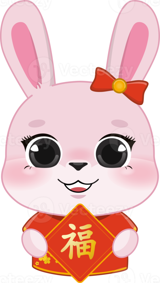 rosado Conejo niña participación chino rojo sobre plano icono diseño png