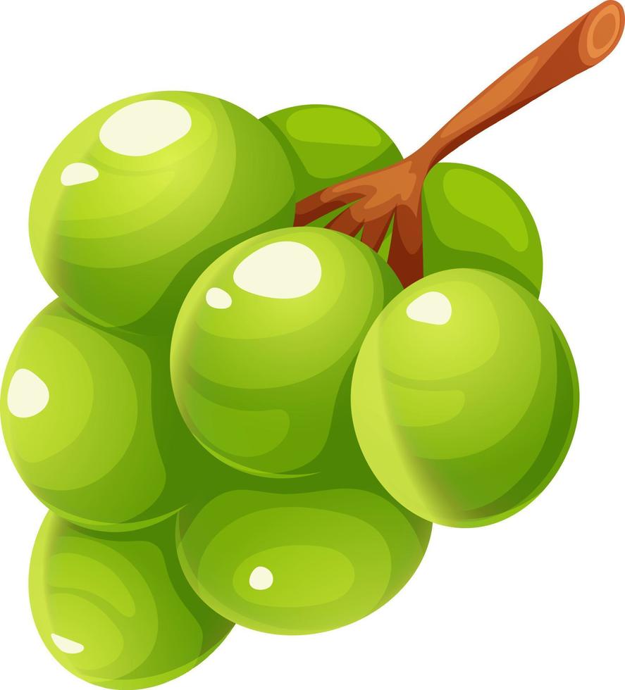 Branch of green grapes, kishmish cartoon on transparent background vector