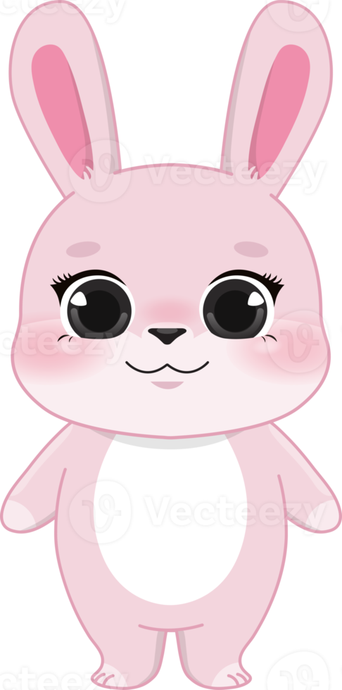 Pink Rabbit Cartoon Character png