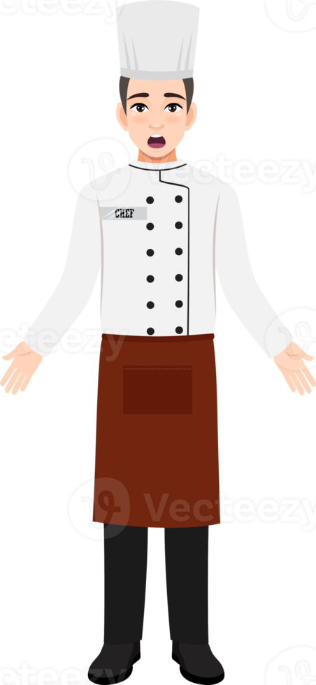 profesional cocinero trabajando personaje diseño clipart png